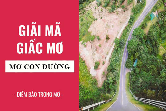 Giải mã giấc mơ: Mơ thấy con đường điềm báo gì, lành hay dữ? con số liên quan