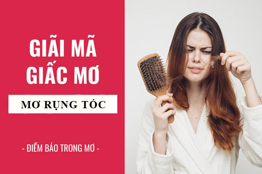 Giải mã giấc mơ: Mơ thấy rụng tóc điềm báo gì, lành hay dữ? con số liên quan