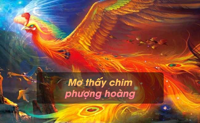 Mơ thấy chim phượng hoàng là điềm báo gì? Đánh con gì để trúng lớn?