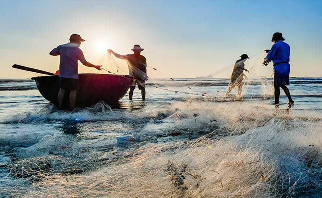 Ý nghĩa giấc mơ thấy kéo lưới bắt được nhiều cá to